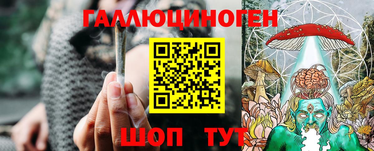 Россия  Псилоцибиновые грибы ЛСД  Вход с VPN  Галлюциногенные грибы Psilocybe 