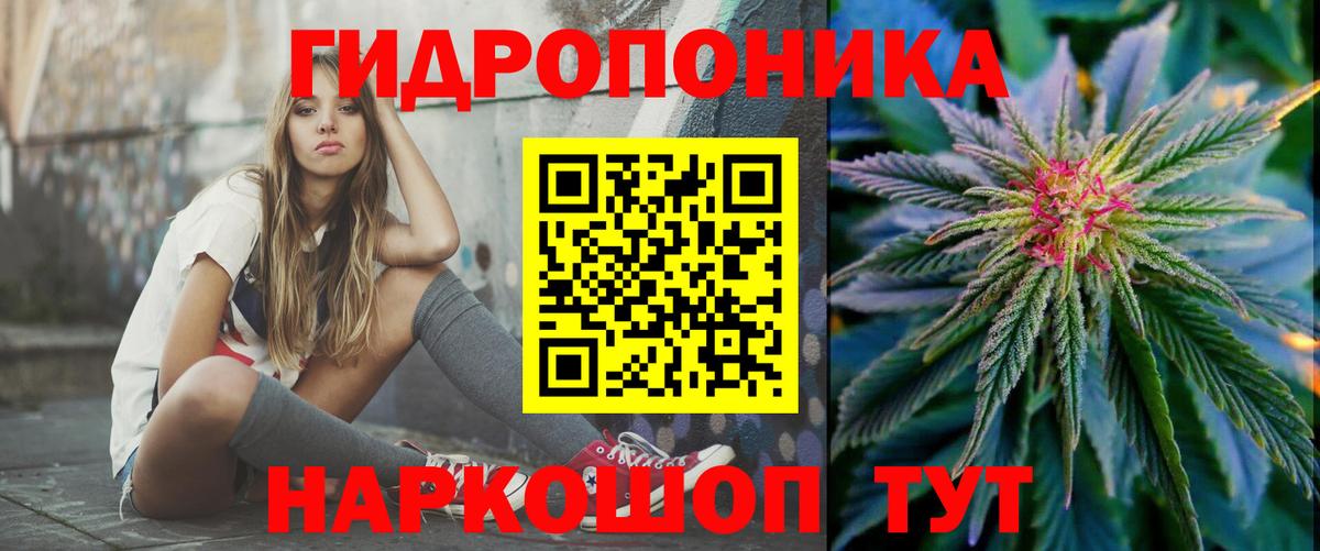 Конопля SATIVA & INDICA  Конопля сатива  Вход с VPN  Конопля OG Kush  Россия 
